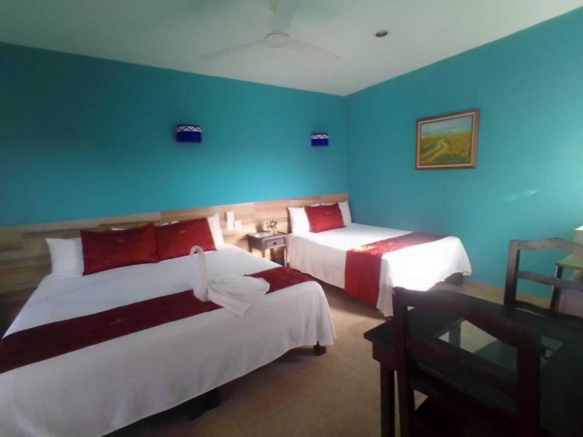 Hotel Acuario Playa Del Carmen Zewnętrze zdjęcie